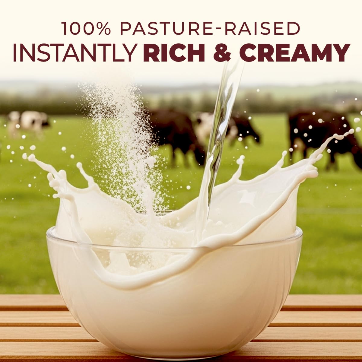 Gya Tea Co Whole Milk Powder 1.1lb – Pasture-Raised, rBST-Free, Non-GMO, Shelf-Stable for Baking, Cooking & Smoothies