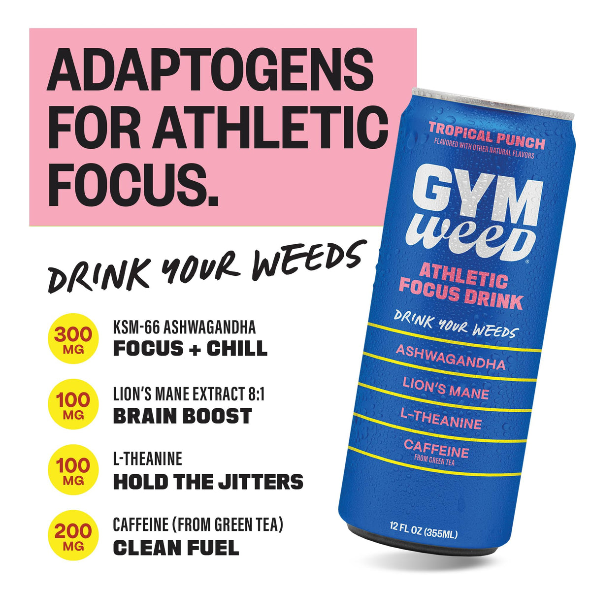 GYM WEED Athletic Focus Drink — KSM-66 Ashwagandha, Lion's Mane, L-Theanine, Green Tea Caffeine | Tropical Punch 12 Pack