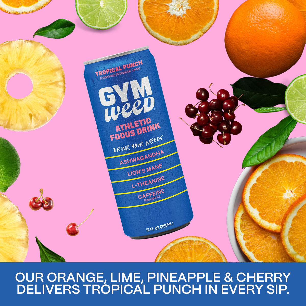 GYM WEED Athletic Focus Drink — KSM-66 Ashwagandha, Lion's Mane, L-Theanine, Green Tea Caffeine | Tropical Punch 12 Pack