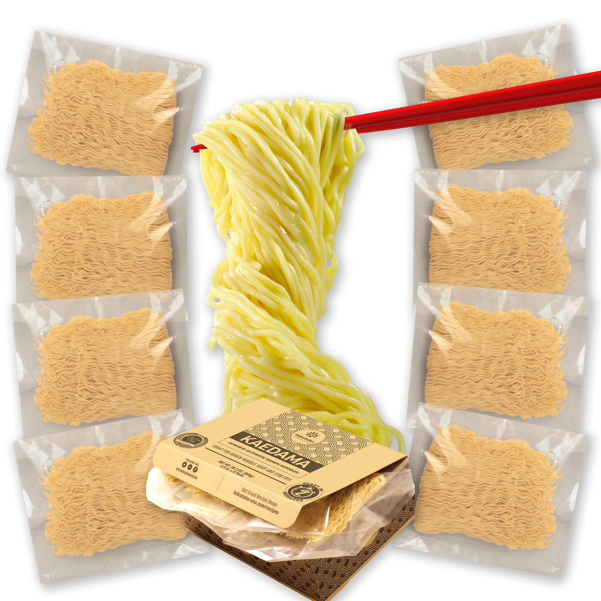 Hakubaku Authentic Plain Ramen Noodles Bulk (8 Pack) Kaedama – Product of Japan