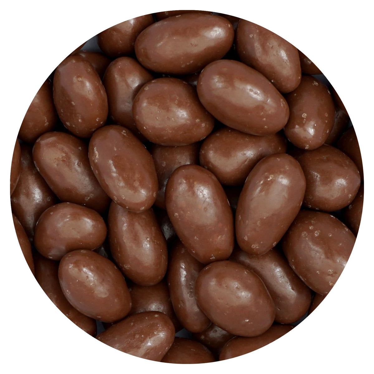 The Hampton Candy Company Milk Chocolate Covered Almonds - 1 lb Bulk Bag
