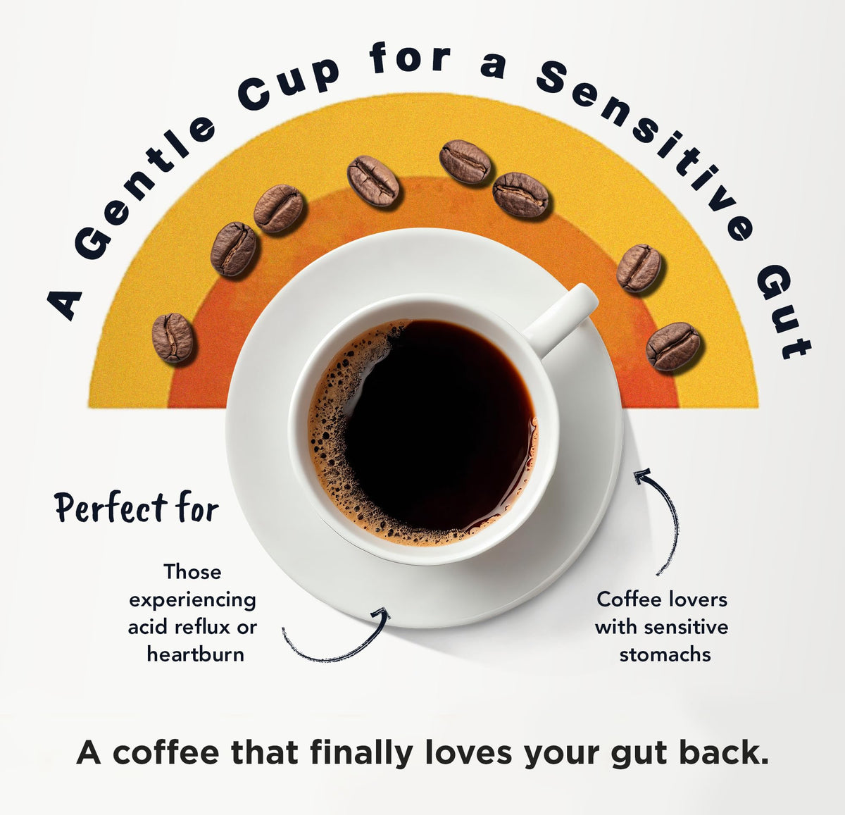 Happy Gut Coffee – Doctor-Formulated Organic Medium-Dark Roast, Gentle on Stomach, Gluten-Free, 12oz Ground