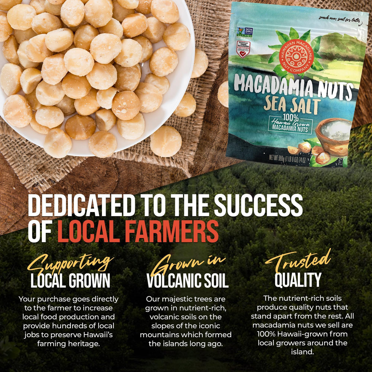 Hawaiian Macadamia Nut Company Dry Roasted Macadamias with Sea Salt – 24 oz, Gluten-Free & Non-GMO