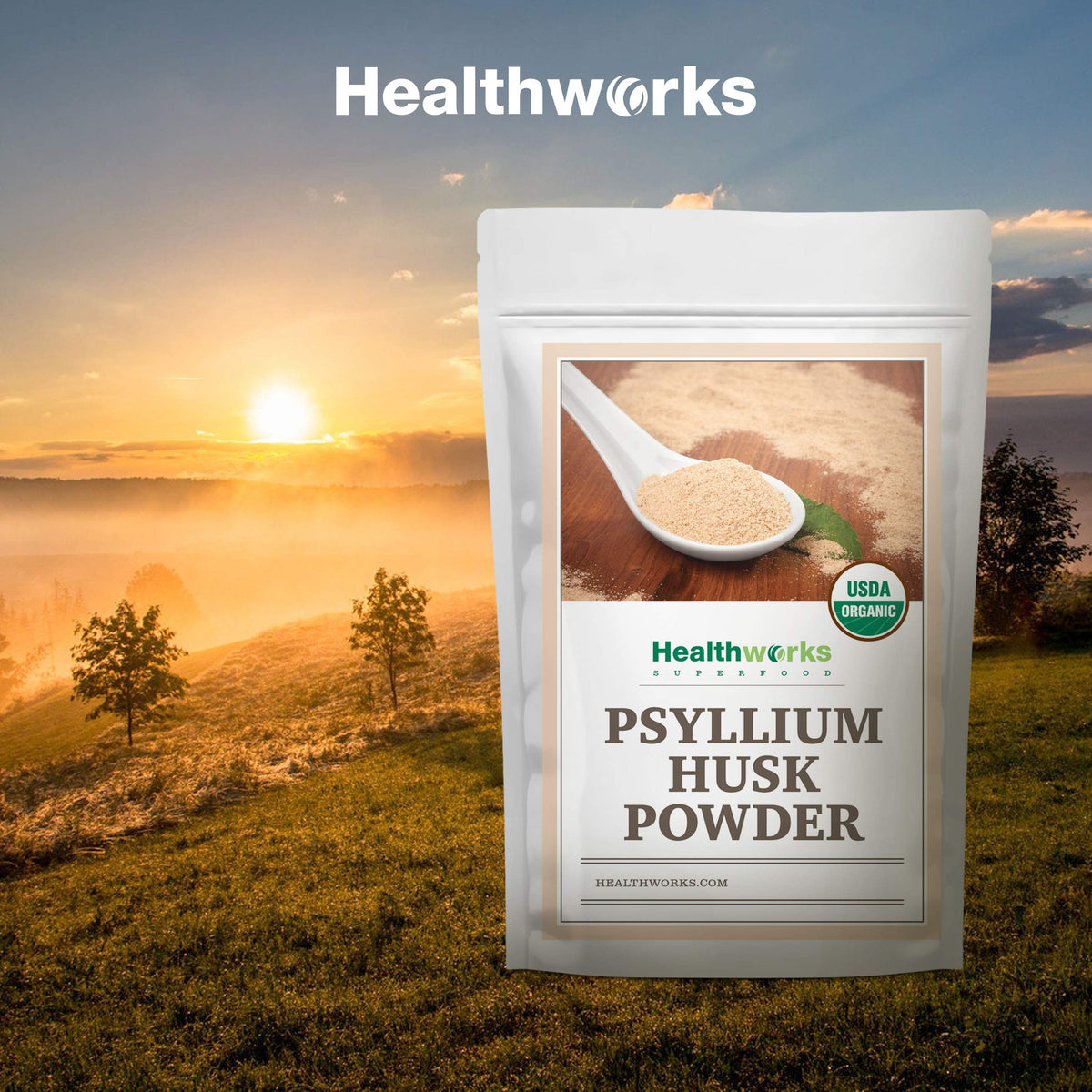 Healthworks Organic Psyllium Husk Powder – 32 Oz / 2 Lbs | Finely Ground, Raw, Certified Organic, Gluten-Free, Vegan, Non-GMO