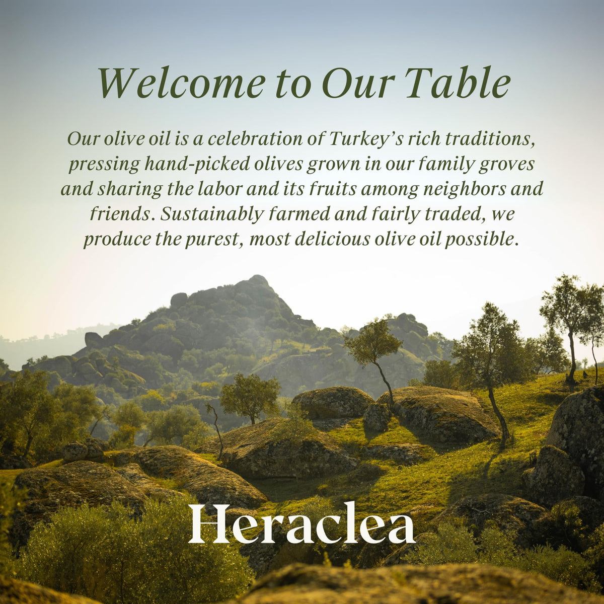 Heraclea Mature Harvest Organic EVOO – Cold-Pressed Extra Virgin Olive Oil, 16.9oz