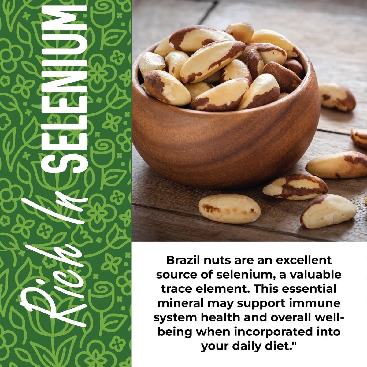 Herbaila Brazil Nuts Raw 2 lb – Shelled & Whole, Unsalted, Non-GMO