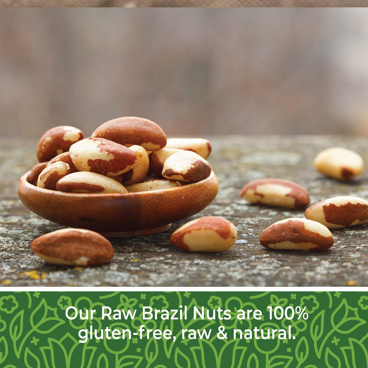 Herbaila Brazil Nuts Raw 2 lb – Shelled & Whole, Unsalted, Non-GMO