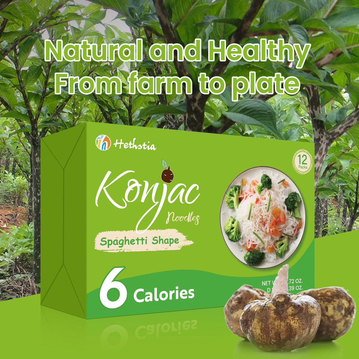 Hethstia Konjac Noodles – Shirataki Spaghetti 12 Pack | Low Carb, Gluten Free, Vegan