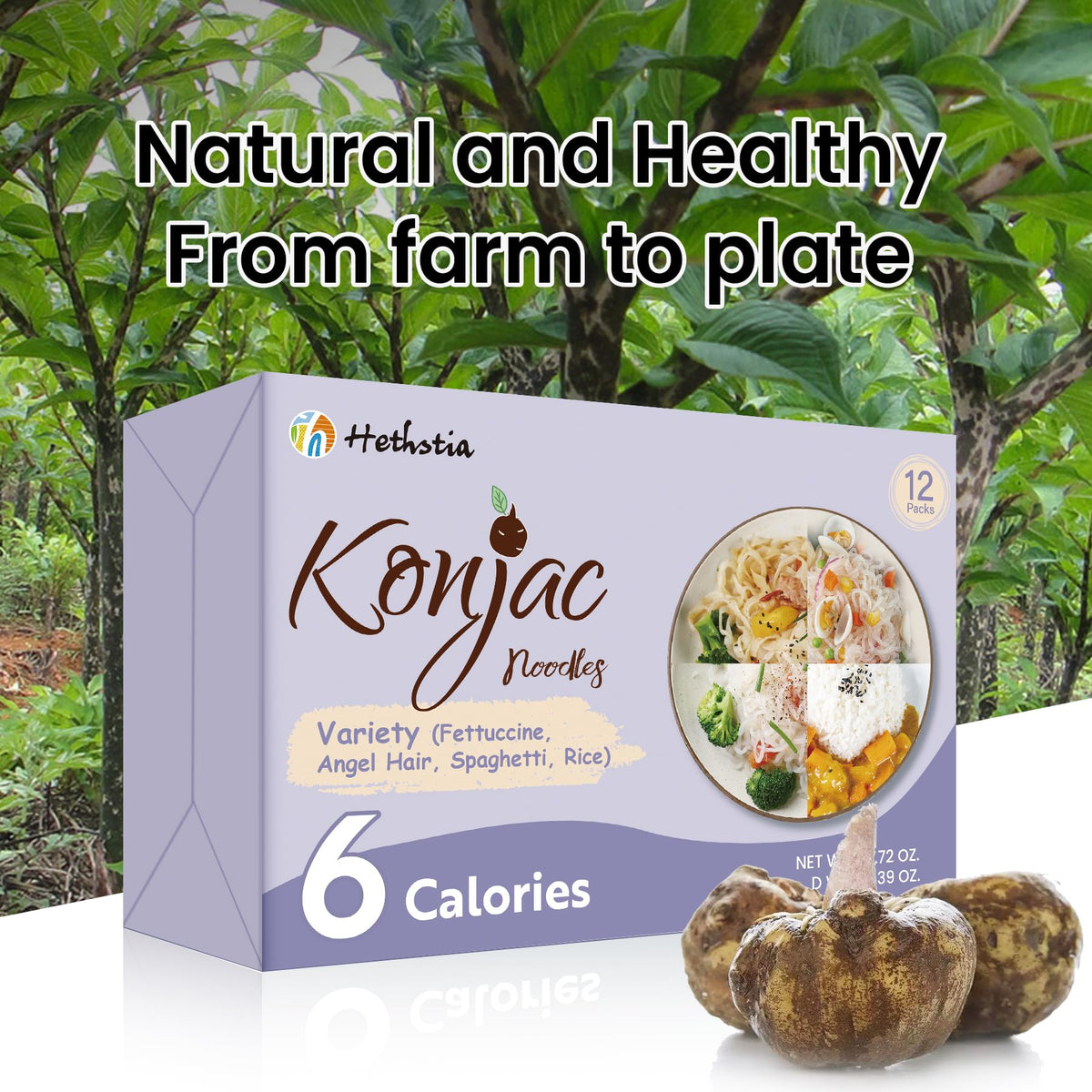 Hethstia Konjac Noodles Variety Pack | 12 Pack Shirataki Noodles – Spaghetti, Fettuccine, Angel Hair, Rice