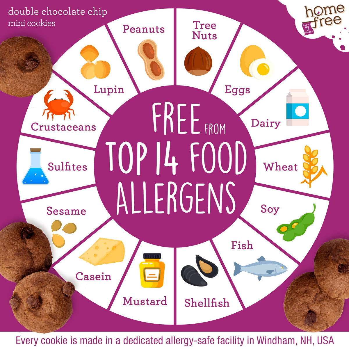 Homefree Gluten-Free Mini Double Chocolate Chip Cookies — 10-Pack