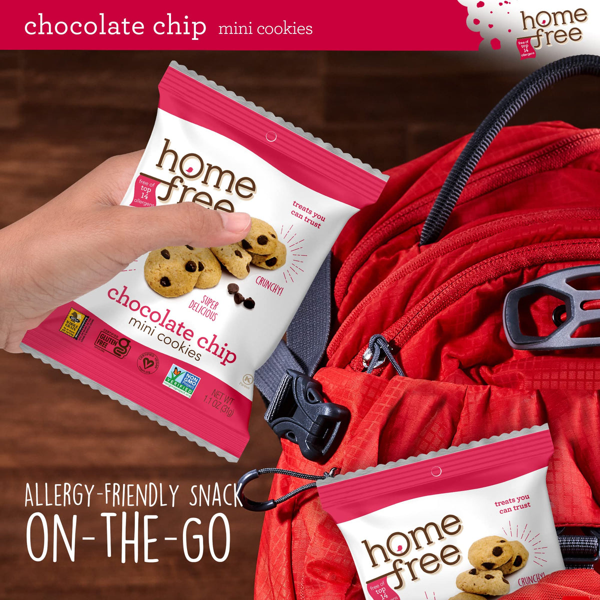 Homefree Gluten-Free Mini Chocolate Chip Cookies — 10 Pack, Single-Serve 1.1 oz Each