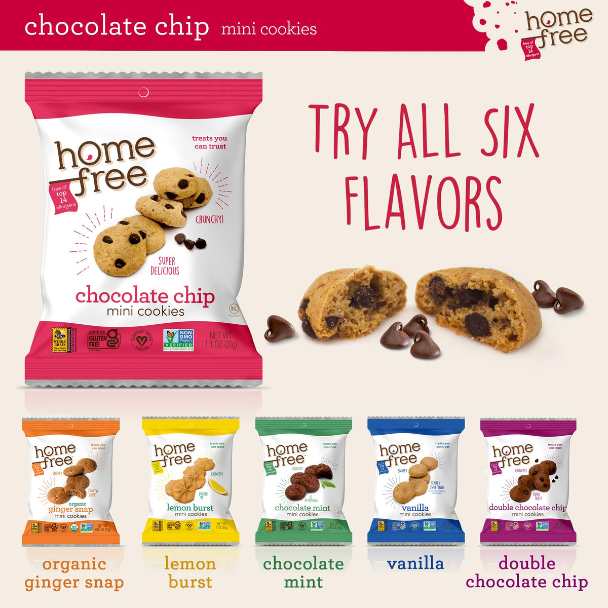 Homefree Gluten-Free Mini Chocolate Chip Cookies — 10 Pack, Single-Serve 1.1 oz Each