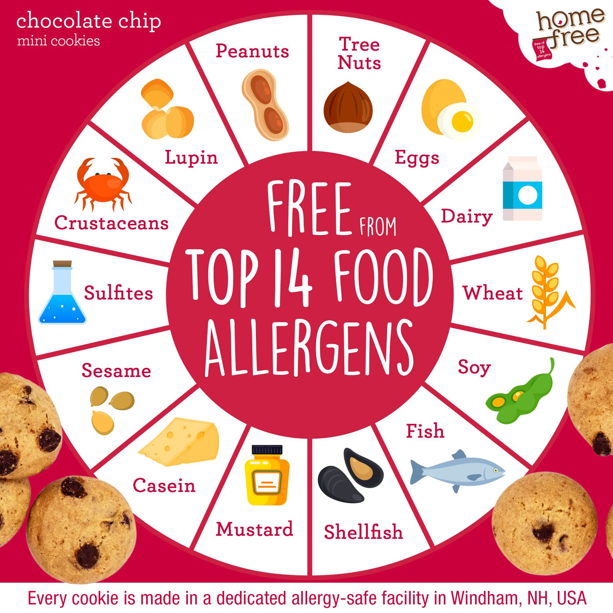 Homefree Gluten-Free Mini Chocolate Chip Cookies — 10 Pack, Single-Serve 1.1 oz Each