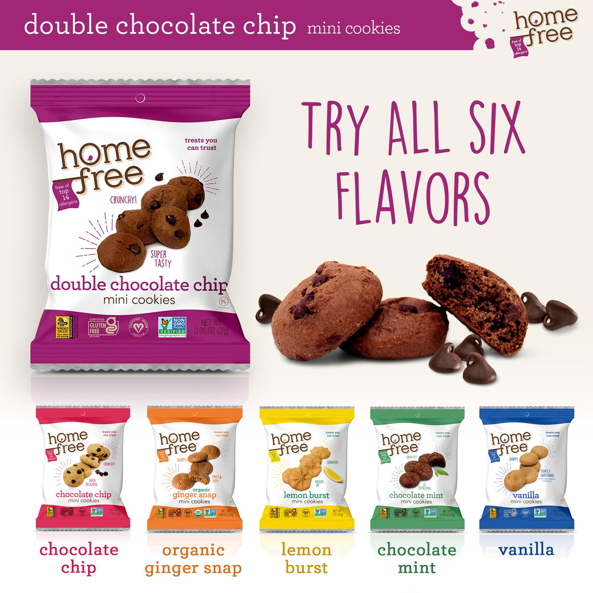 Homefree Gluten-Free Mini Double Chocolate Chip Cookies — 10-Pack