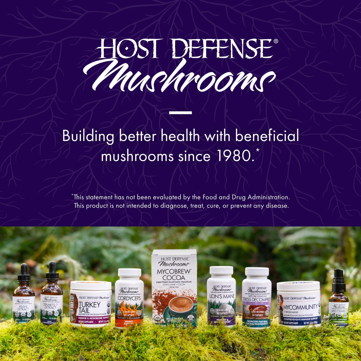 Host Defense MycoBrew Cocoa - Lion's Mane Mushroom Drink Mix with Fair Trade Cocoa, 10.6 oz (20 Servings)