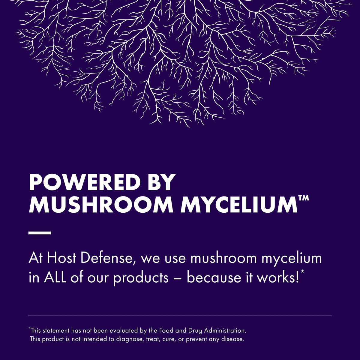 Host Defense MycoBrew Cocoa - Lion's Mane Mushroom Drink Mix with Fair Trade Cocoa, 10.6 oz (20 Servings)