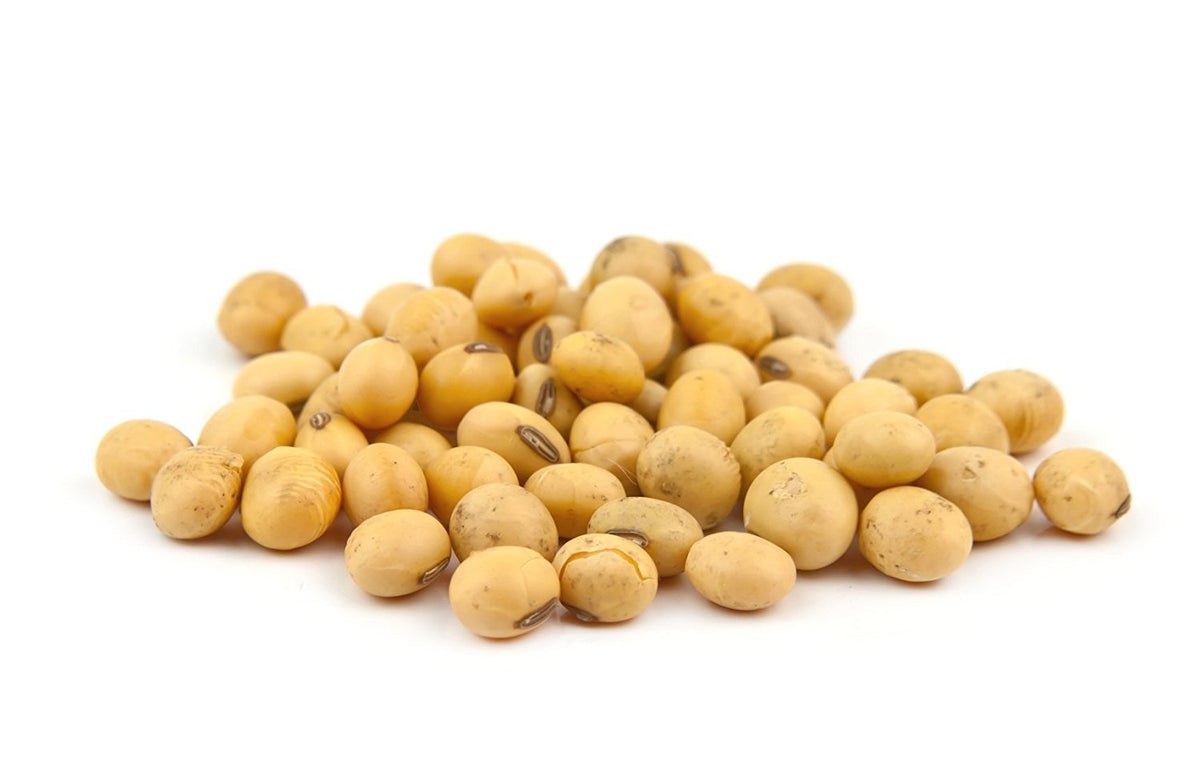 Hunza Organic Soybeans (5 lbs) – Plant-Based Protein, USDA Organic, Non-GMO