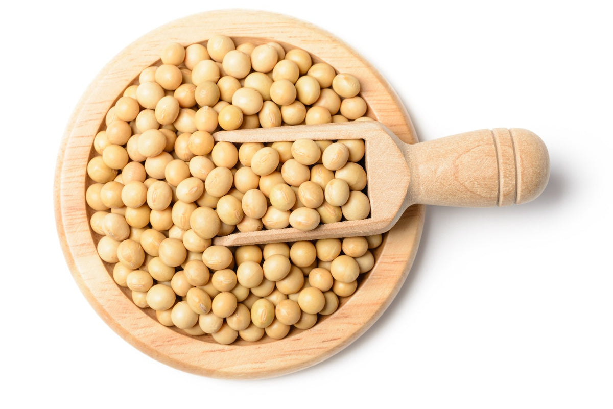 Hunza Organic Soybeans (5 lbs) – Plant-Based Protein, USDA Organic, Non-GMO