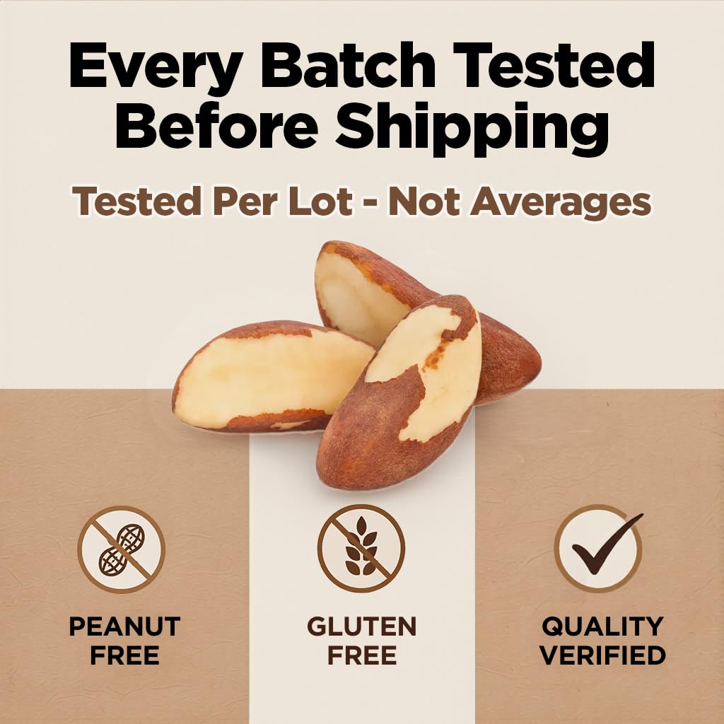 Premium Wild Harvested Raw Brazil Nuts – 1 lb | High Selenium, Gluten Free, Non-GMO, Kosher | I'm A Nut