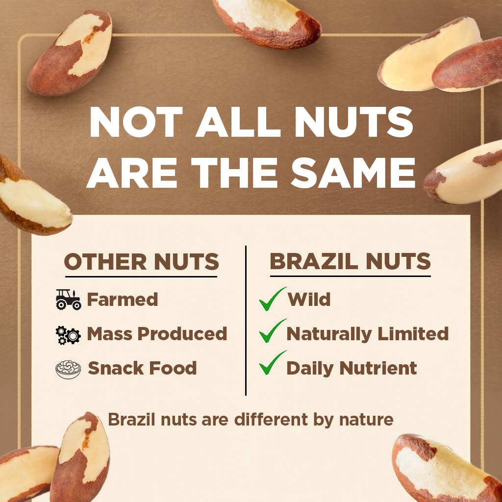 Premium Wild Harvested Raw Brazil Nuts – 1 lb | High Selenium, Gluten Free, Non-GMO, Kosher | I'm A Nut
