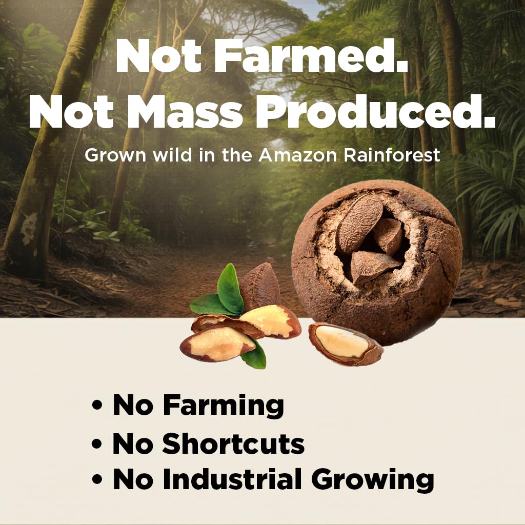 Premium Wild Harvested Raw Brazil Nuts – 1 lb | High Selenium, Gluten Free, Non-GMO, Kosher | I'm A Nut