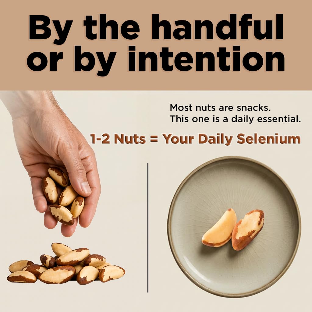 Premium Wild Harvested Raw Brazil Nuts – 1 lb | High Selenium, Gluten Free, Non-GMO, Kosher | I'm A Nut