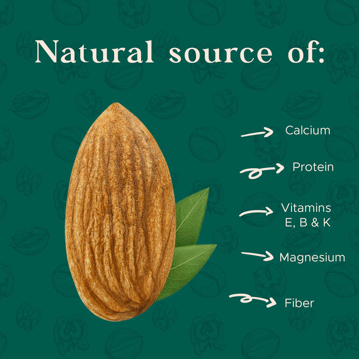 I'm A Nut Dry Roasted Almonds Unsalted — 32oz, Gluten & Peanut Free, No Oil, Non-GMO