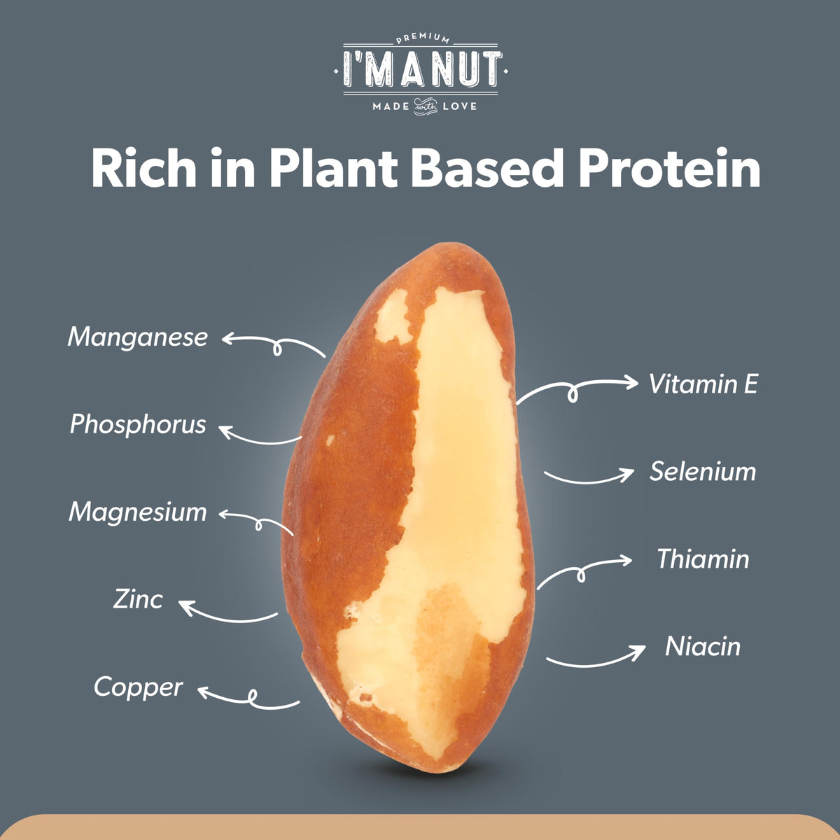I'm A Nut Raw Broken Brazil Nuts, 2 lbs – Wild Harvested, High Selenium, Gluten Free, Non-GMO, Kosher