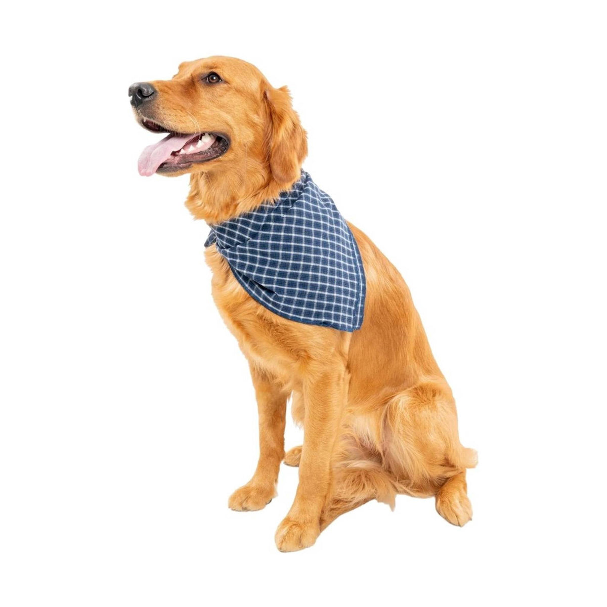 Insect Shield Trail Dog Bandana - Navy Blue
