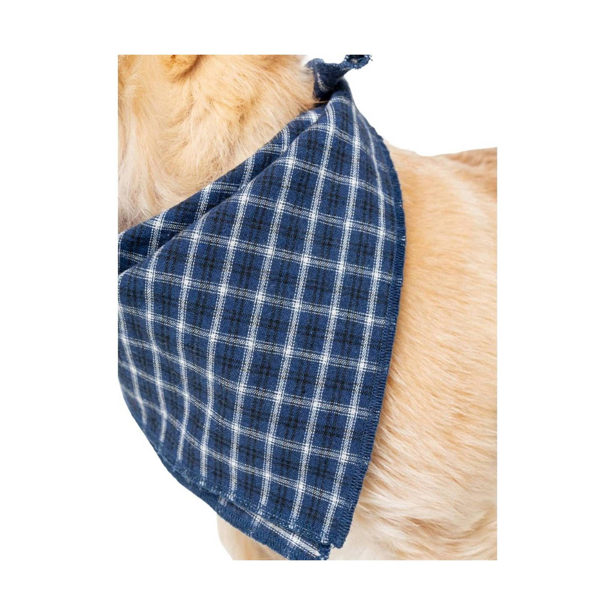 Insect Shield Trail Dog Bandana - Navy Blue