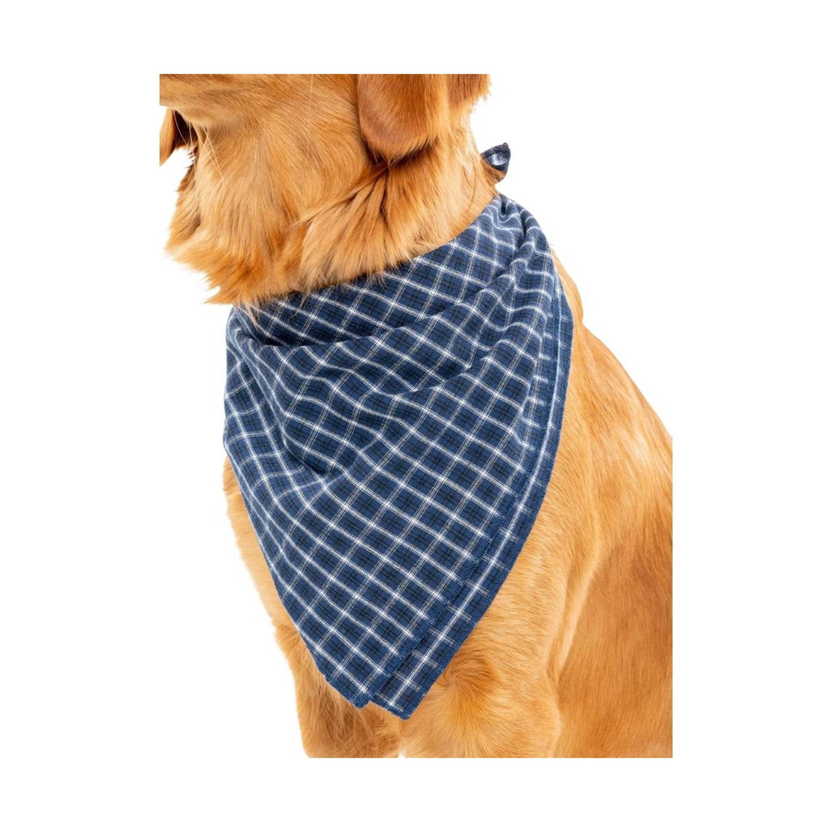Insect Shield Trail Dog Bandana - Navy Blue