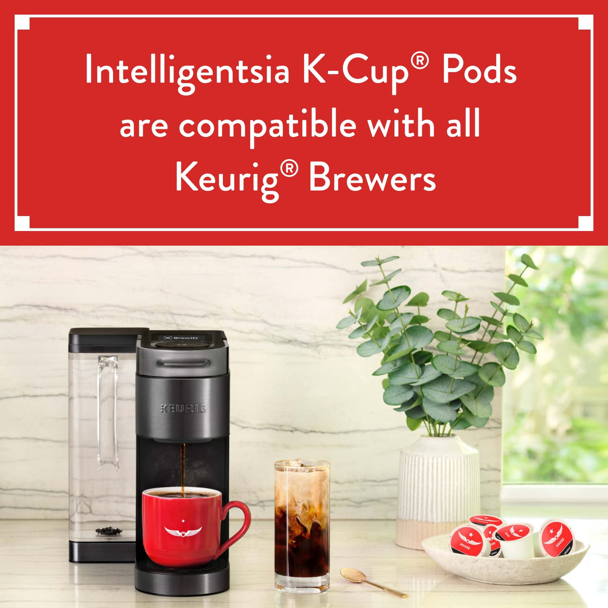 Intelligentsia El Gallo Organic Light Roast K-Cup Pods – 60 Count (6 Boxes) for Keurig