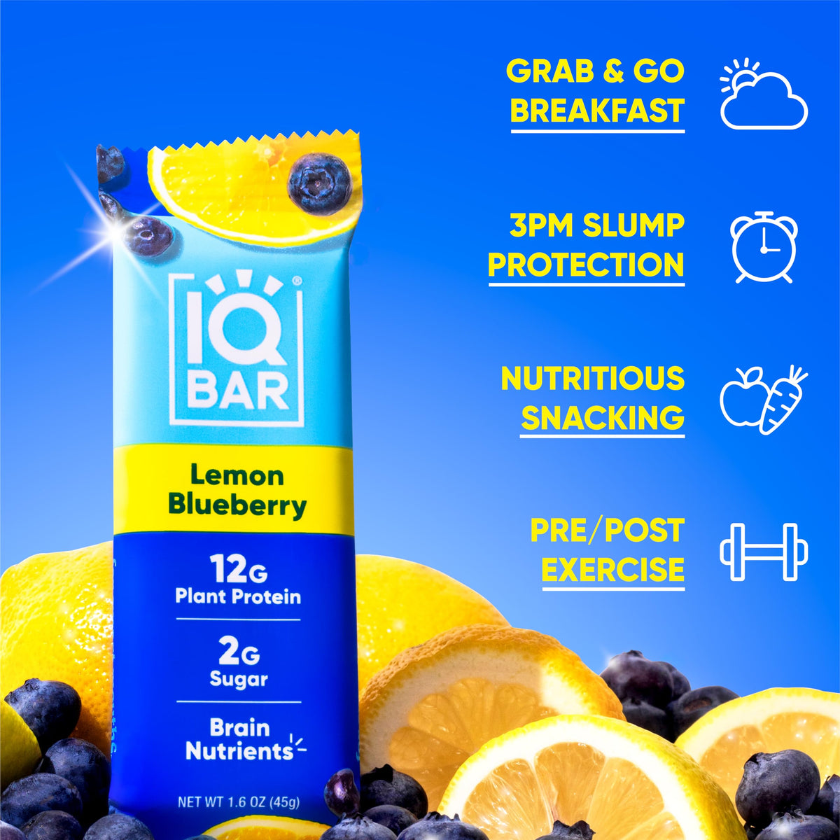 IQBAR Clean Plant Protein Bars – Lemon Blueberry (12 Count) | Keto, Vegan, High Fiber, Gluten & Dairy Free