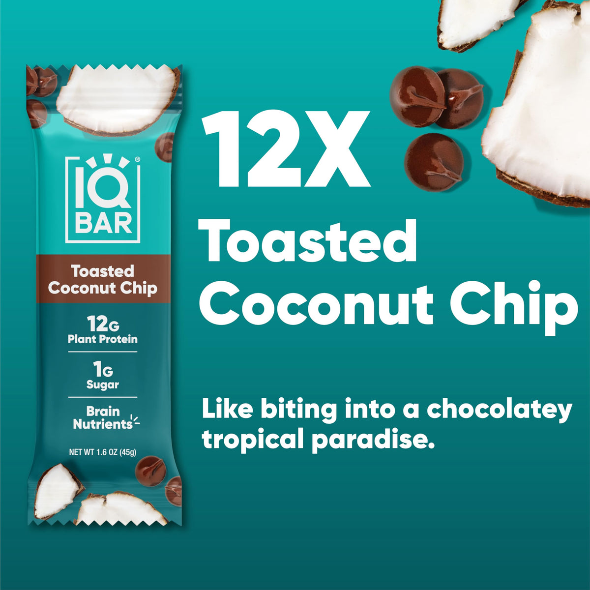 IQBAR Clean Plant Protein Bars - Toasted Coconut Chip (12 Count) - Keto & Vegan