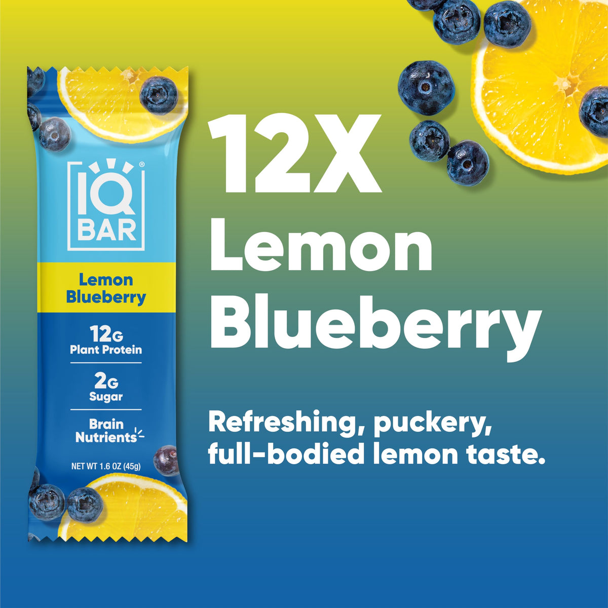 IQBAR Clean Plant Protein Bars – Lemon Blueberry (12 Count) | Keto, Vegan, High Fiber, Gluten & Dairy Free