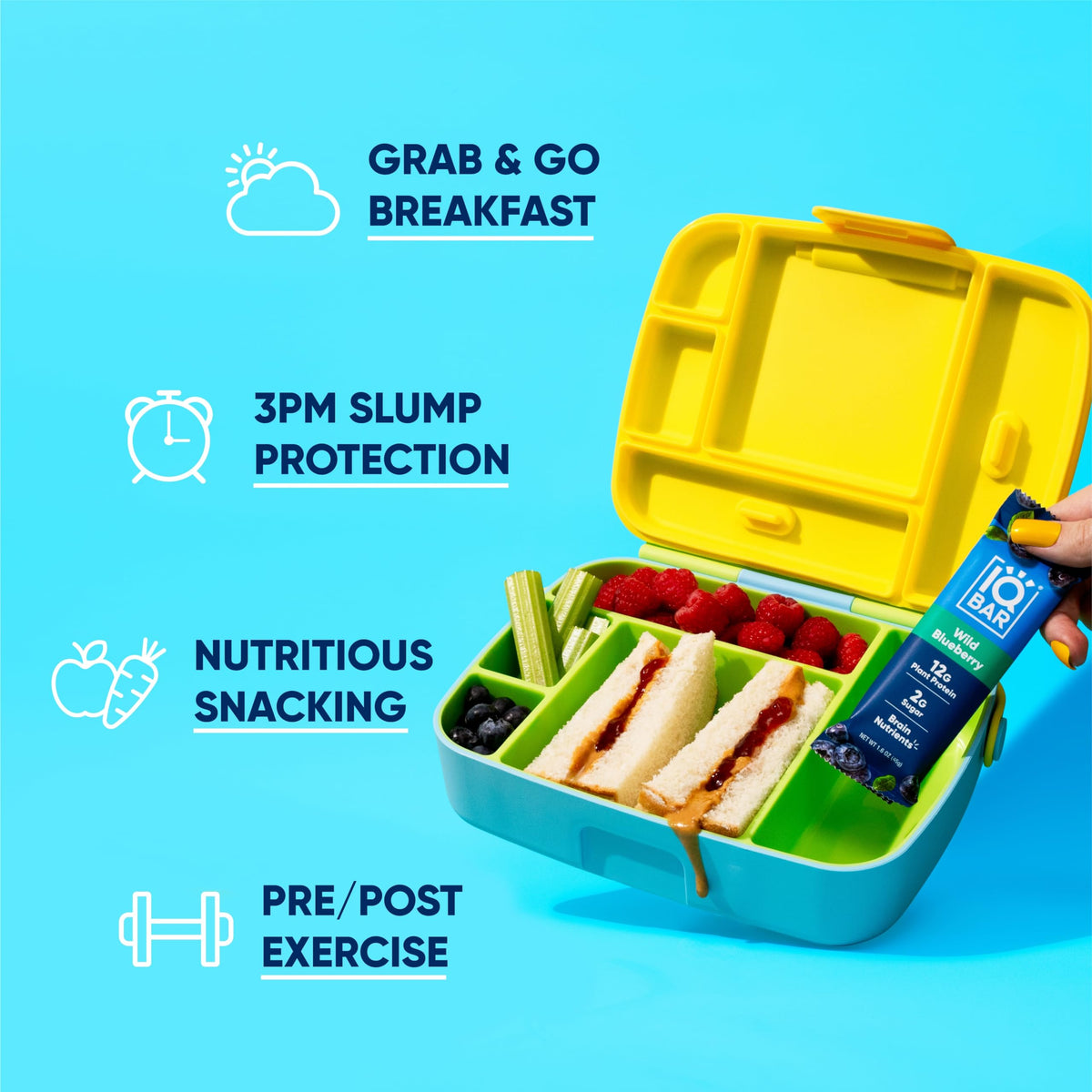 IQBAR Clean Plant Protein Bars - Wild Blueberry | Keto, Vegan, Gluten & Dairy Free, 12 Count