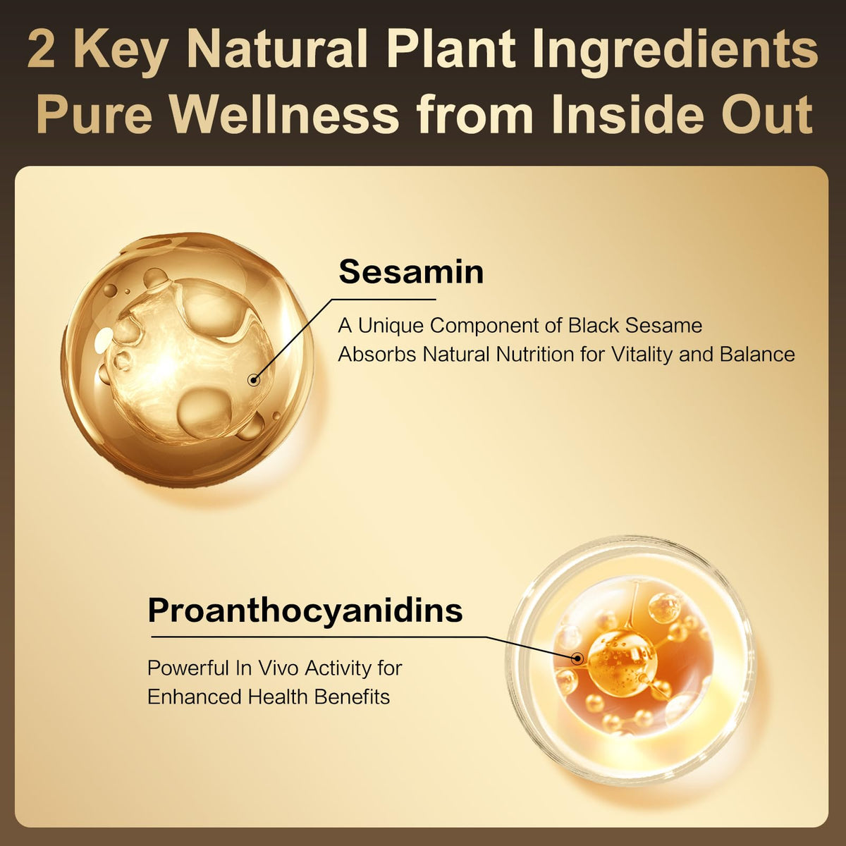 I WUGU 2-Pack Sugar-Free Walnut-Black Sesame Black Soybean Meal Replacement Powder – Low GI, Vegan
