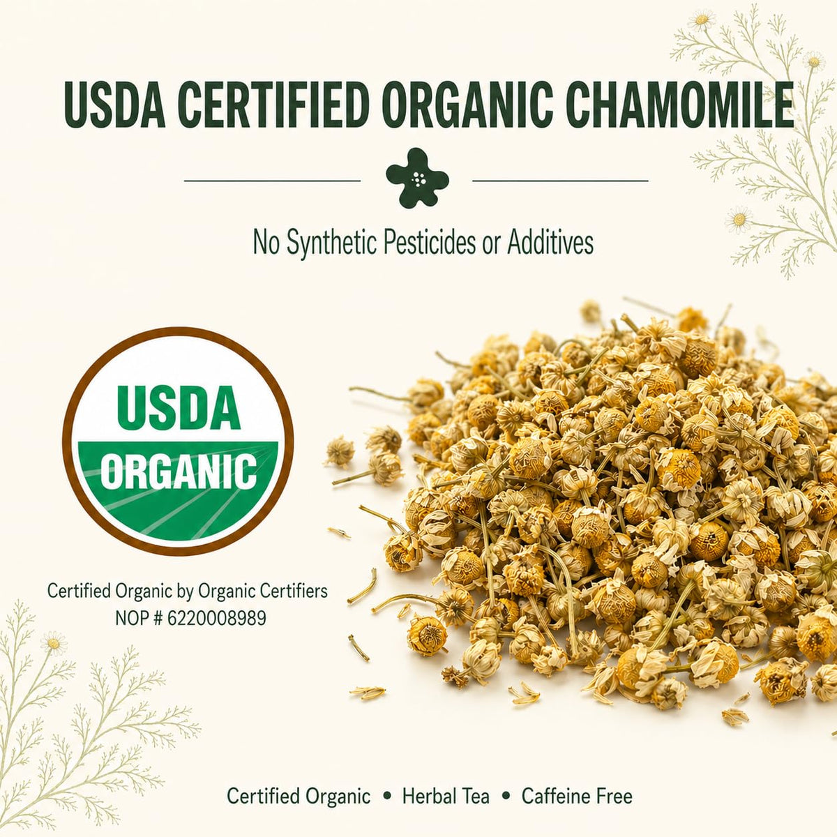 J Mac Botanicals Organic Chamomile Flowers (16 oz) – Whole Egyptian Chamomile for Tea & Baths