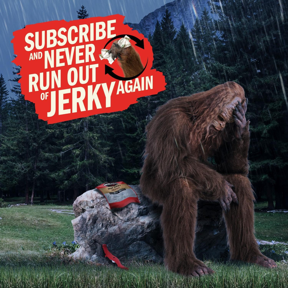 Jack Link's Beef Jerky Variety Pack – Original & Teriyaki, 9 x 1.25 oz Bags