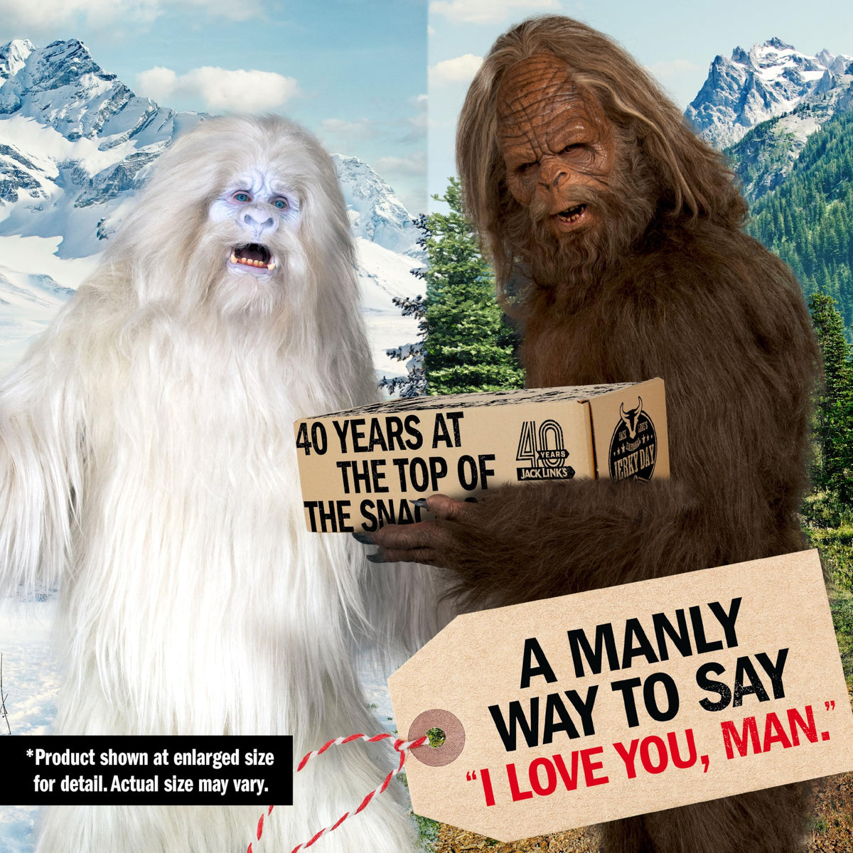 Jack Link’s DUOs Gift Box – 11-Piece Beef Jerky & Chicken Snack Variety Pack