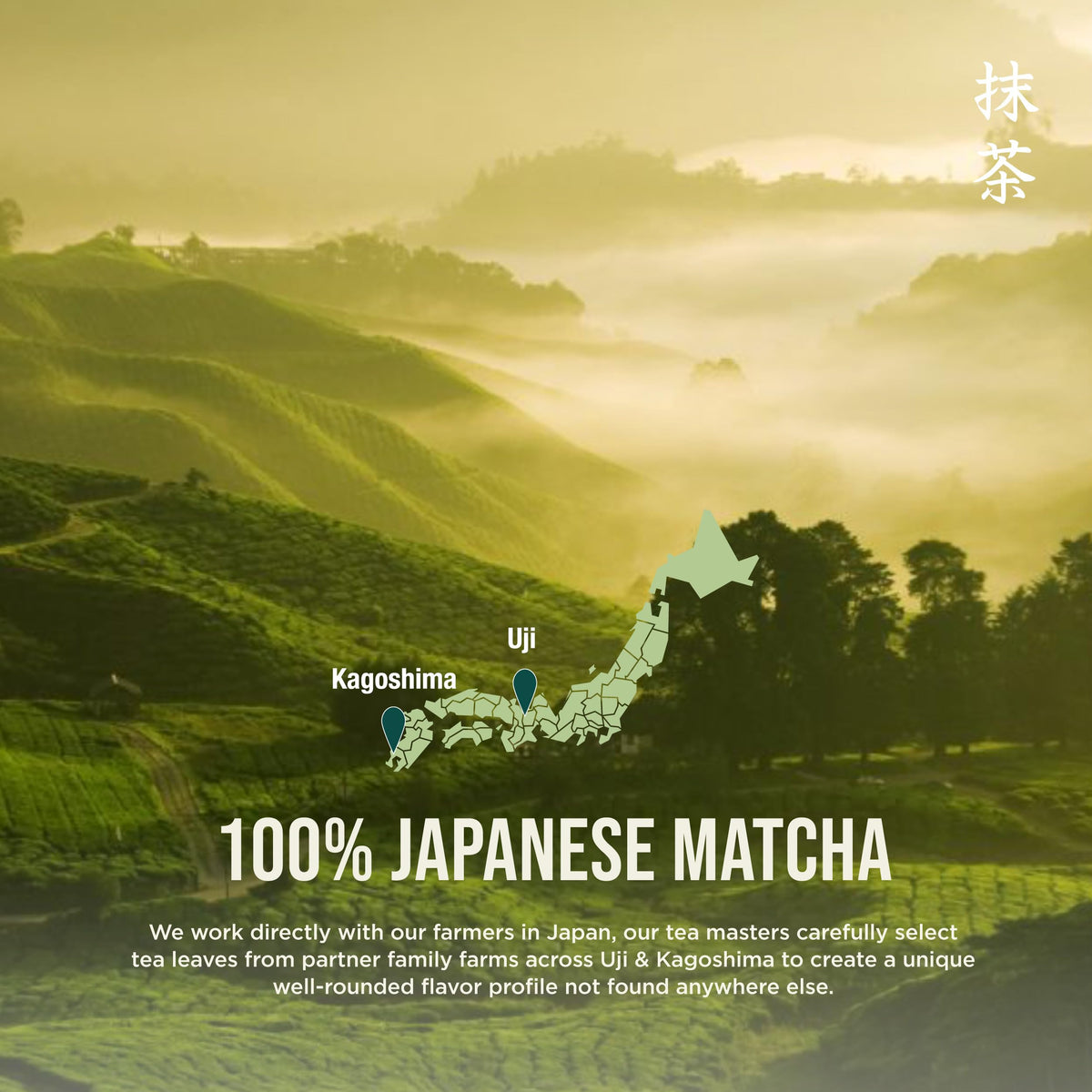 Jade Leaf Matcha Organic Culinary Grade Matcha Powder - 100g | For Baking, Smoothies & Lattes
