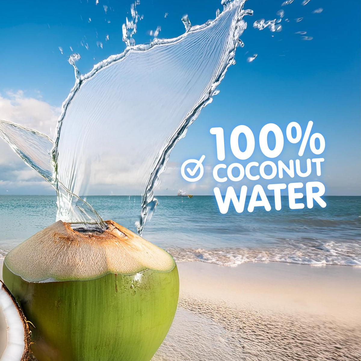Jans 100% Coconut Water with Pulp – No Sugar Added, 16.57 oz (Pack of 12) | Hydration with Electrolytes