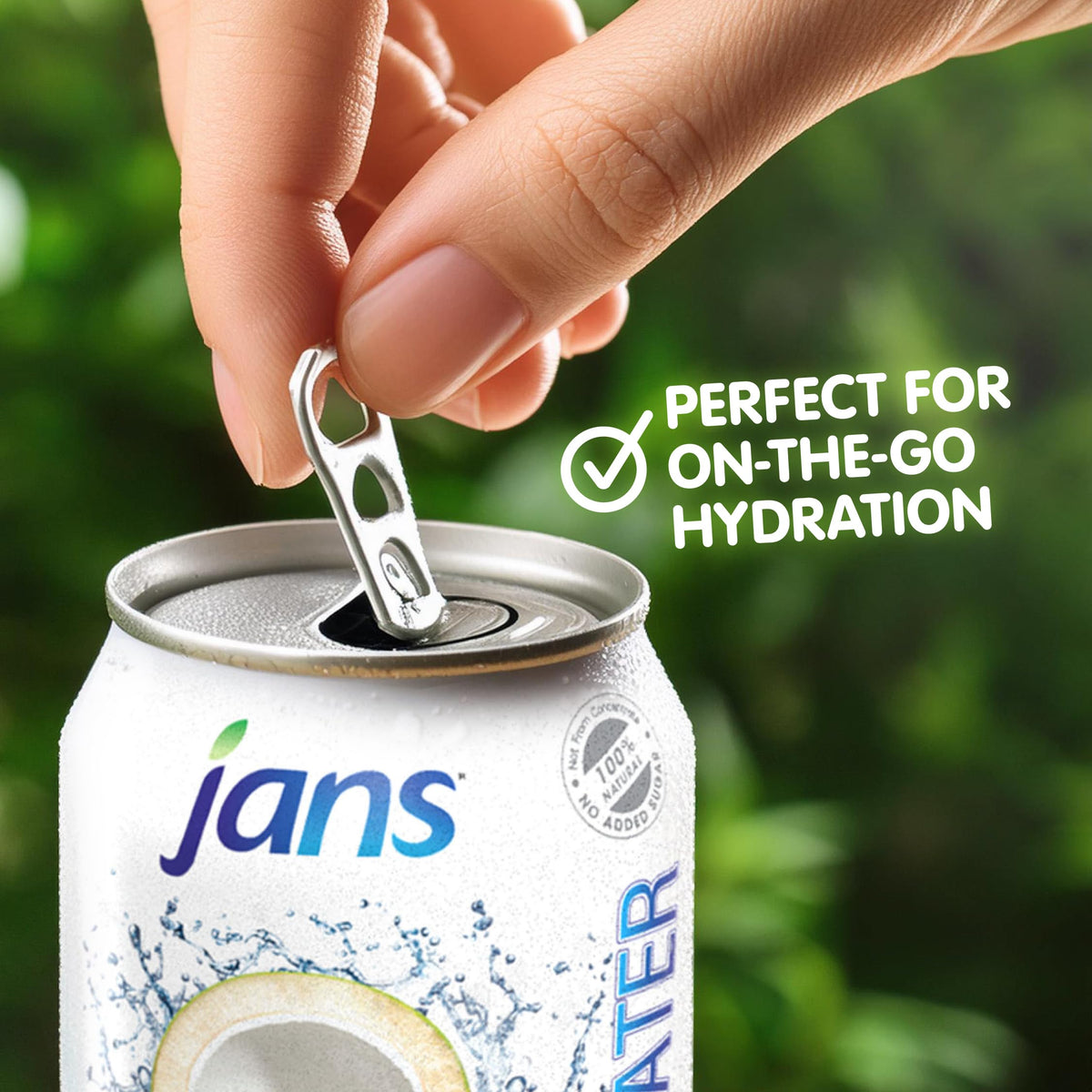 Jans 100% Coconut Water with Pulp – No Sugar Added, 16.57 oz (Pack of 12) | Hydration with Electrolytes