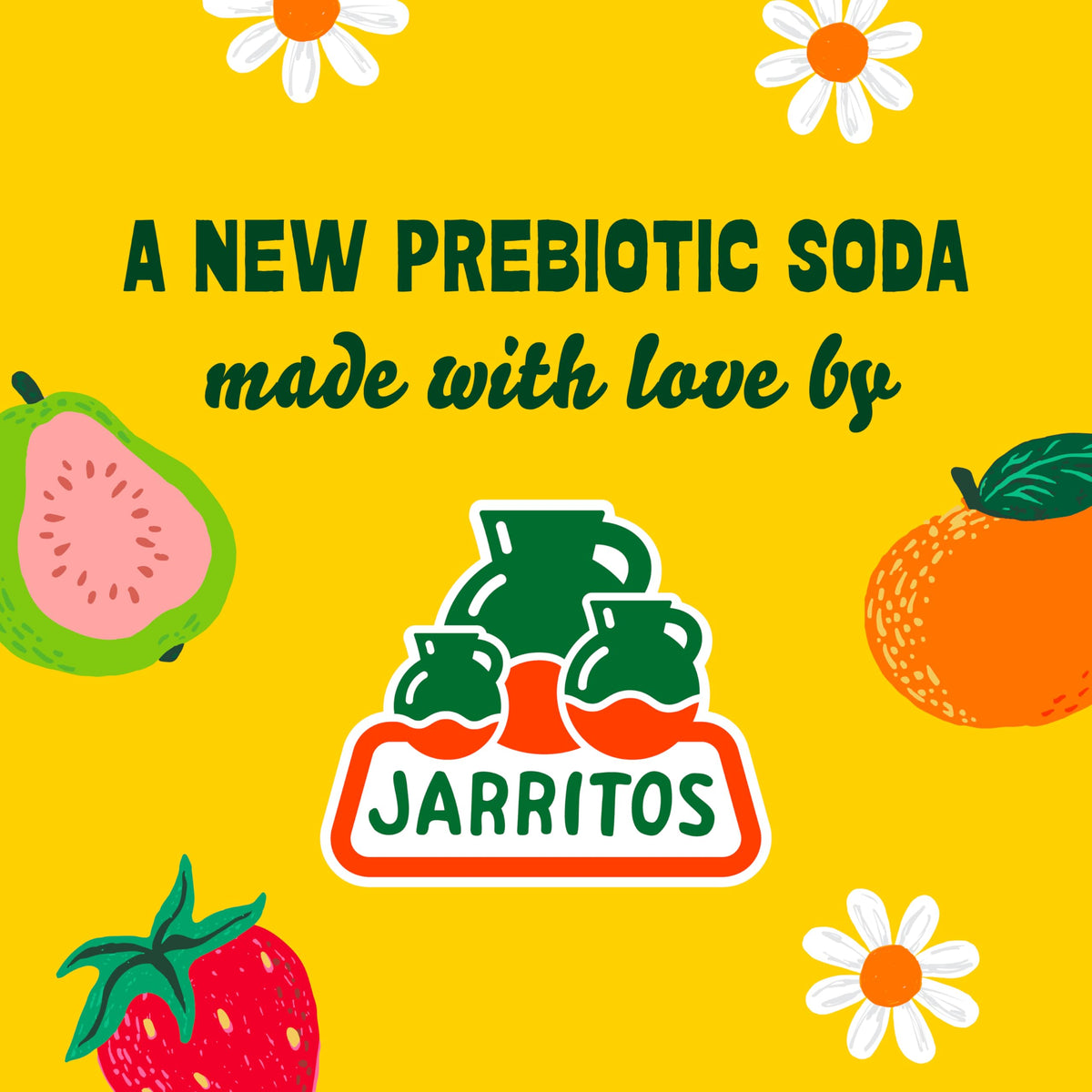 Sana Sana by Jarritos – Guava Prebiotic Soda, 12-Can Pack, 40 Calories, 10g Fiber