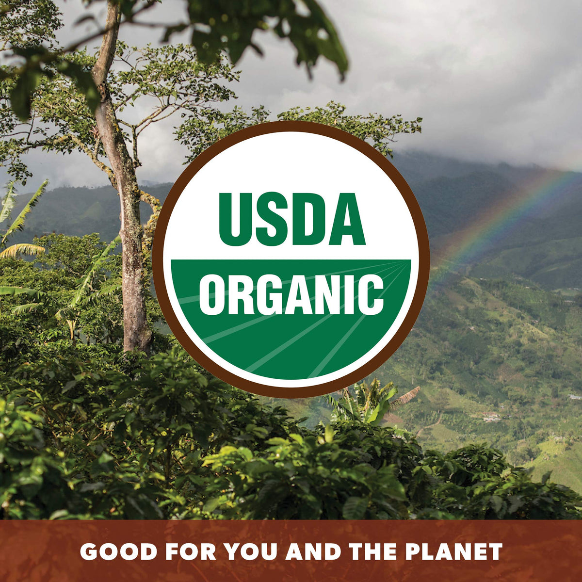 Java Planet Low Acid Organic Coffee – Cinnamon & Vanilla, 1LB Whole Bean | Mold-Free & Smithsonian Bird Friendly