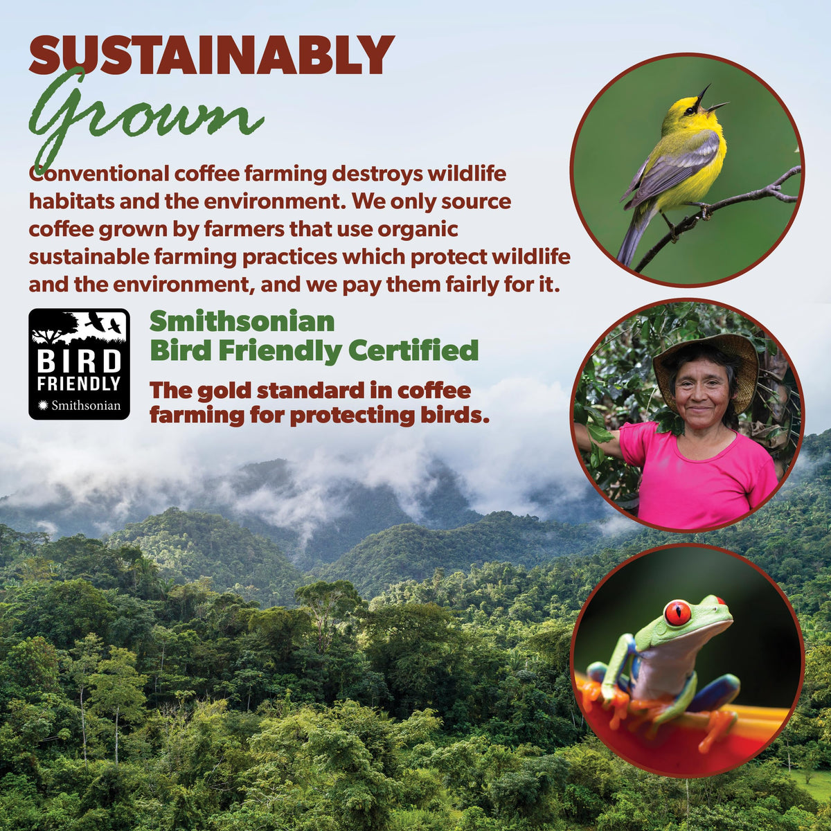 Java Planet Low Acid Organic Coffee – Whole Bean, Mold-Free, Smithsonian Bird Friendly (Peruvian)