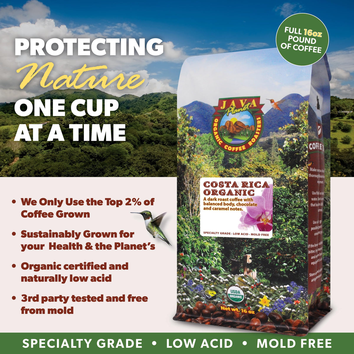 Java Planet Low Acid Organic Coffee – Costa Rican Single Origin, Dark Roast, 1 lb