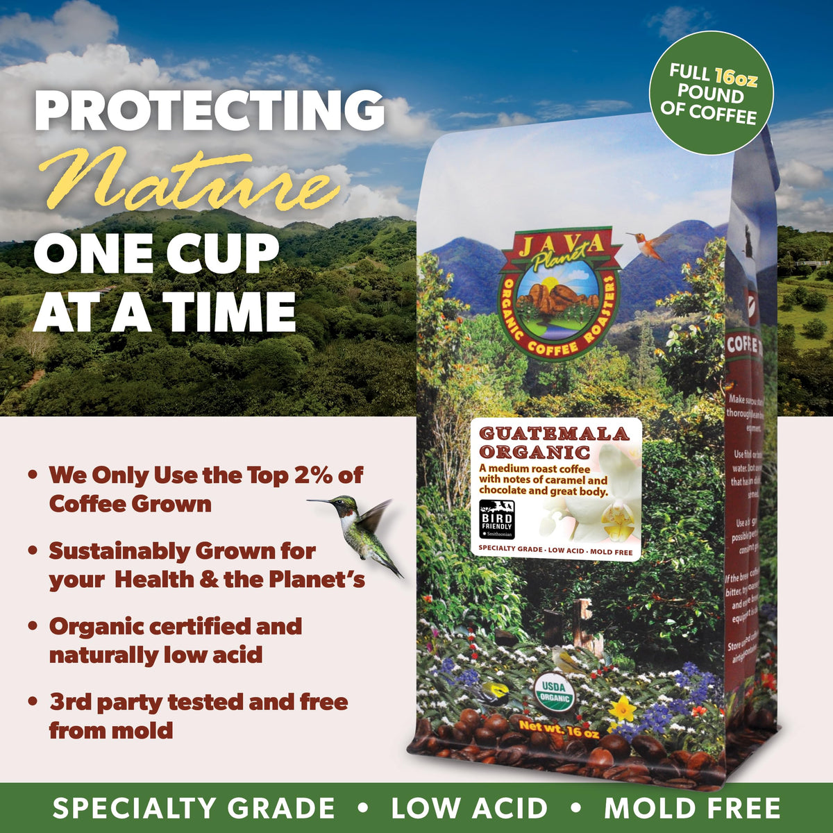 Java Planet Low Acid Organic Coffee – Whole Bean, Bird Friendly (Guatemala)