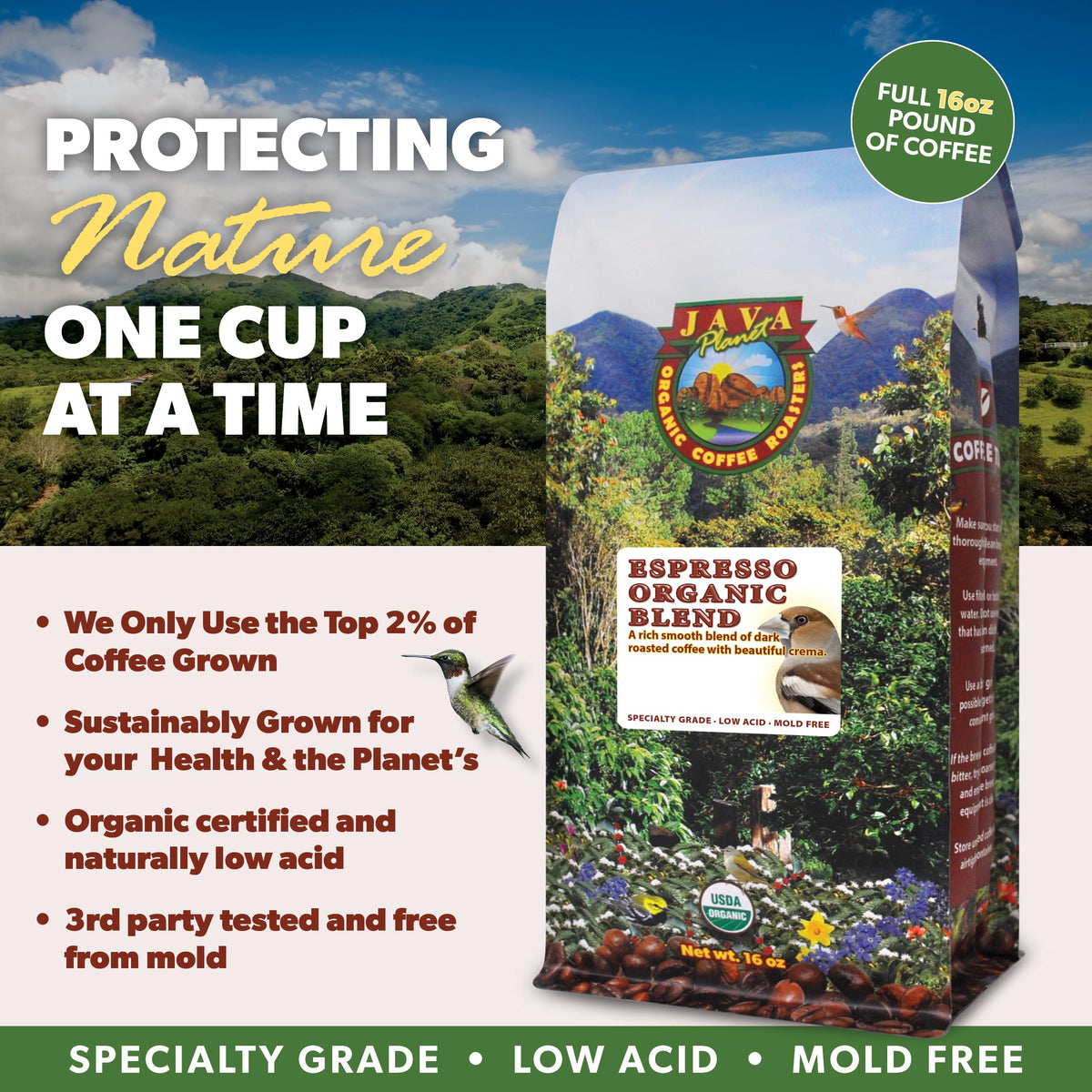 Java Planet Low Acid Organic Coffee – Whole Bean Espresso Blend, Dark Roast, 1lb