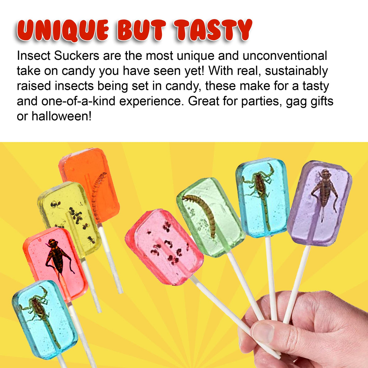 Jerky-n-Spice HotLix Insect Suckers (8-Pack) – Edible Bug Candy Lollipops